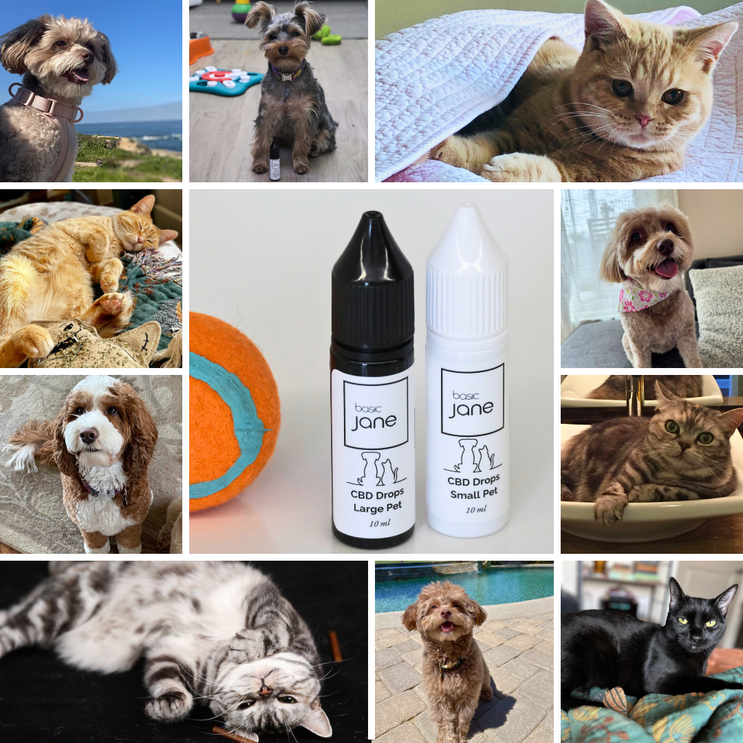 CBD Pet Drops